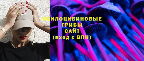 крисы Беломорск