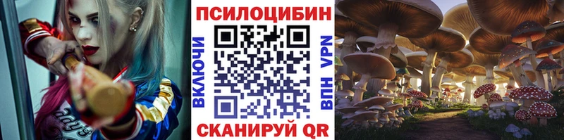 ссылка на мегу ONION  Гудермес  Псилоцибиновые грибы Cubensis 