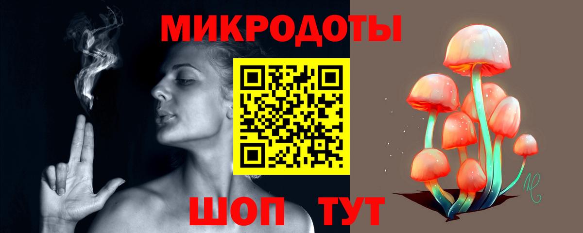 Галлюциногенные грибы Psilocybine cubensis  Вход с VPN  Гудермес 